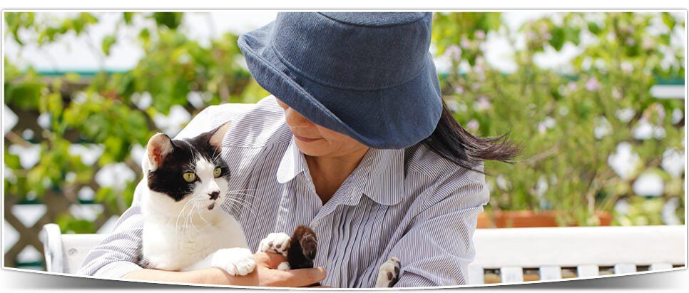 Woman in a blue hat holding a cat