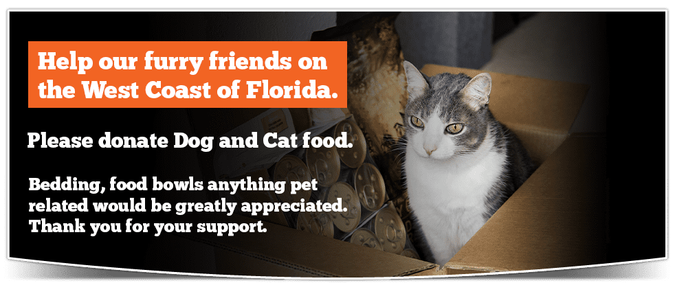 Help our furry friends on the West Coast of Florida