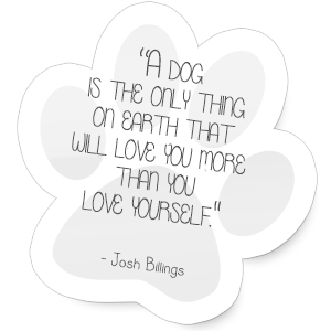"A dog is the only thing on earth that will love you more than you love yourself."