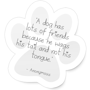 "A dog has lots of friends because he wags his tail and not his tongue."