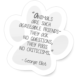 "Animals are such agreeable friends, they ask no questions, they pass no criticisms."