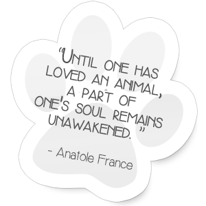 "Until one has loved an animal, a part of one's soul remains unawakened."