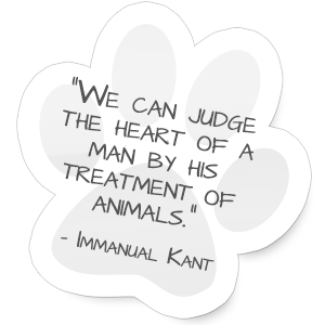 "We can judge the heart of a man by his treatment of animals."