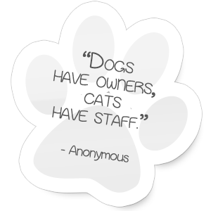 "Dogs have owners, cats have staff."